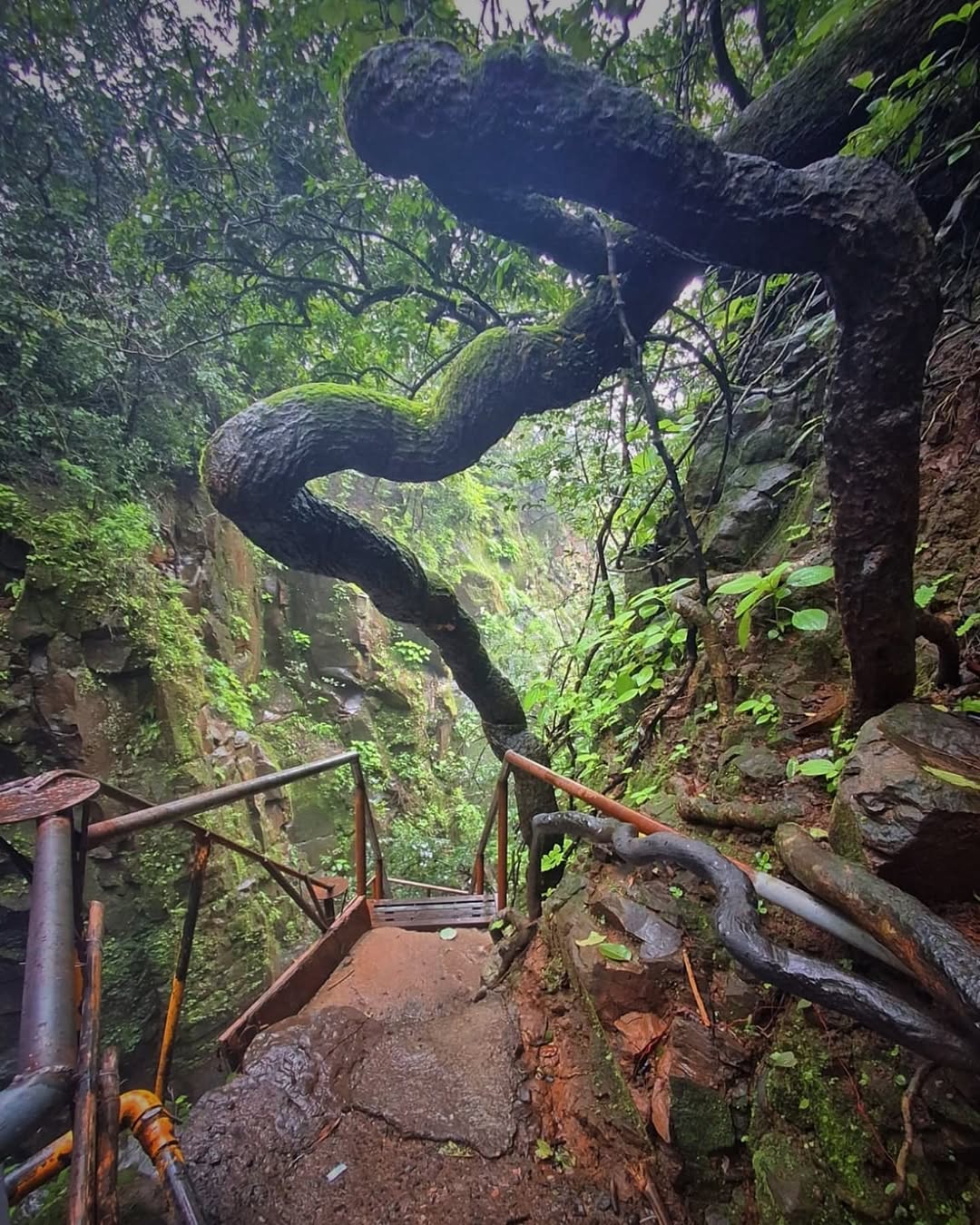 Panhala To Pawankhind Trek — photo 2