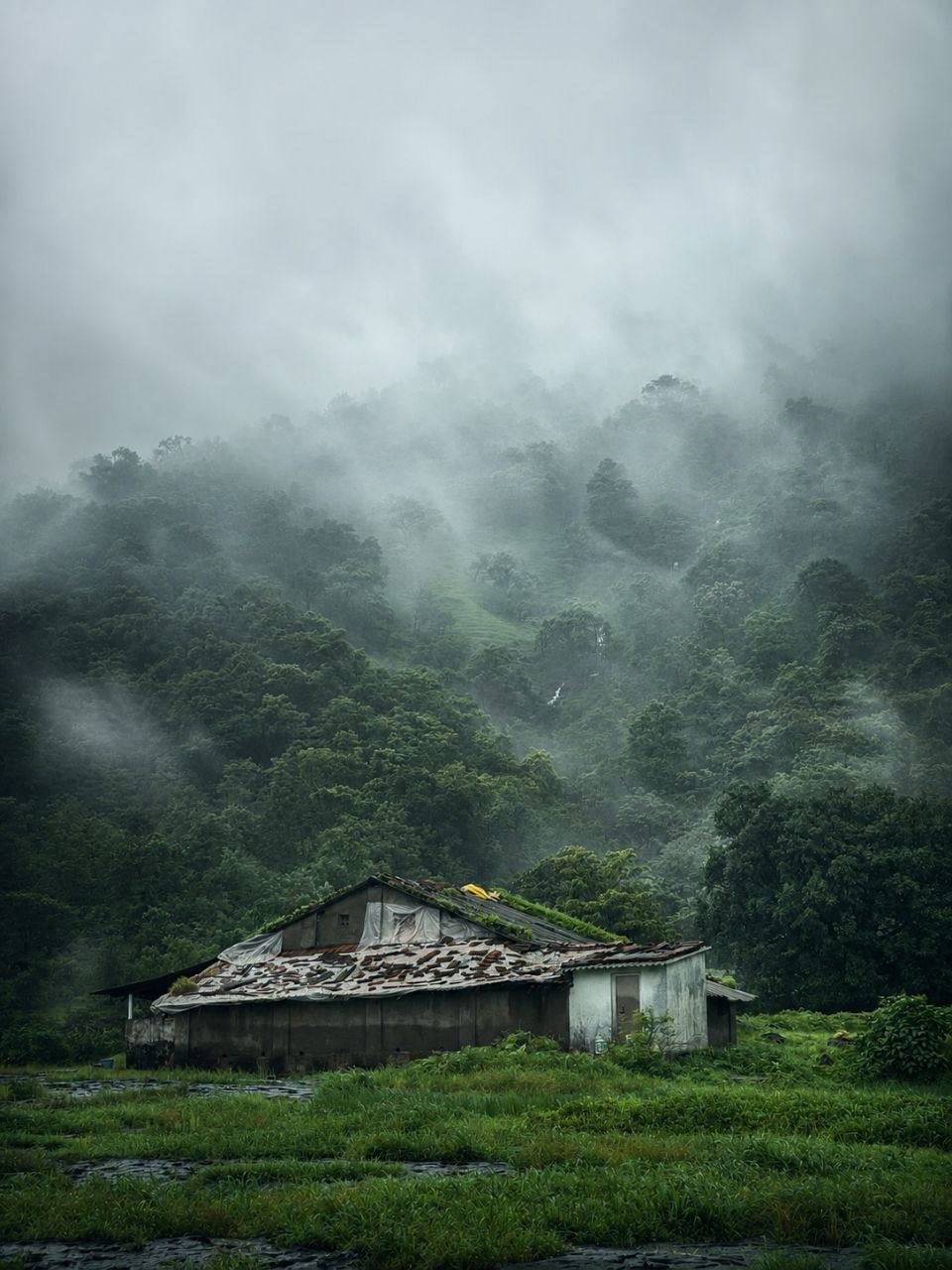 Aadrai Jungle Trek — photo 3