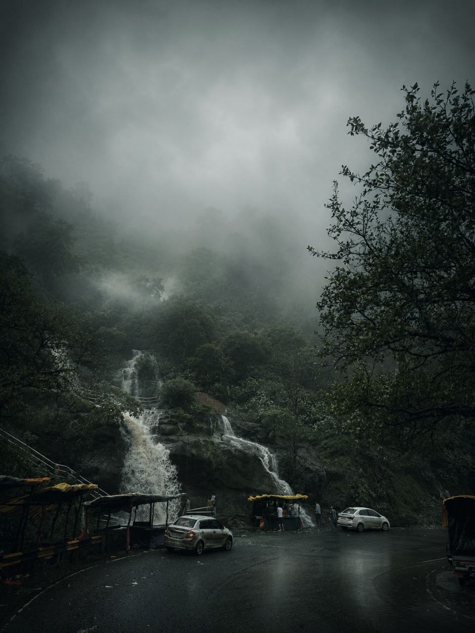 Aadrai Jungle Trek — photo 1