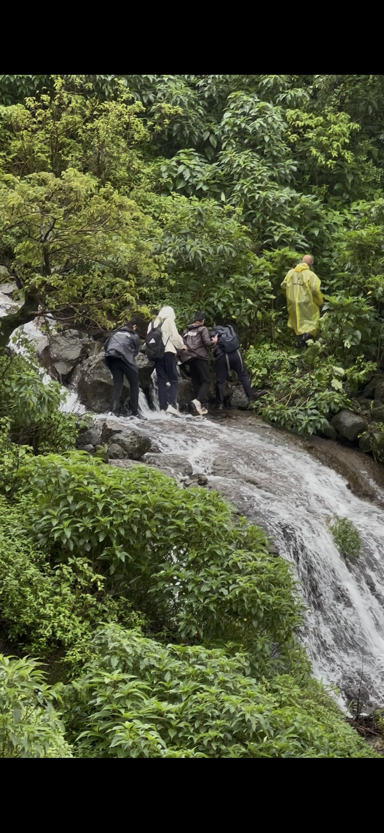 Bramha To Harihar — photo 1